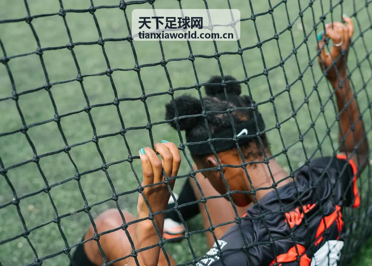 天下足球网球员对比示例球员B